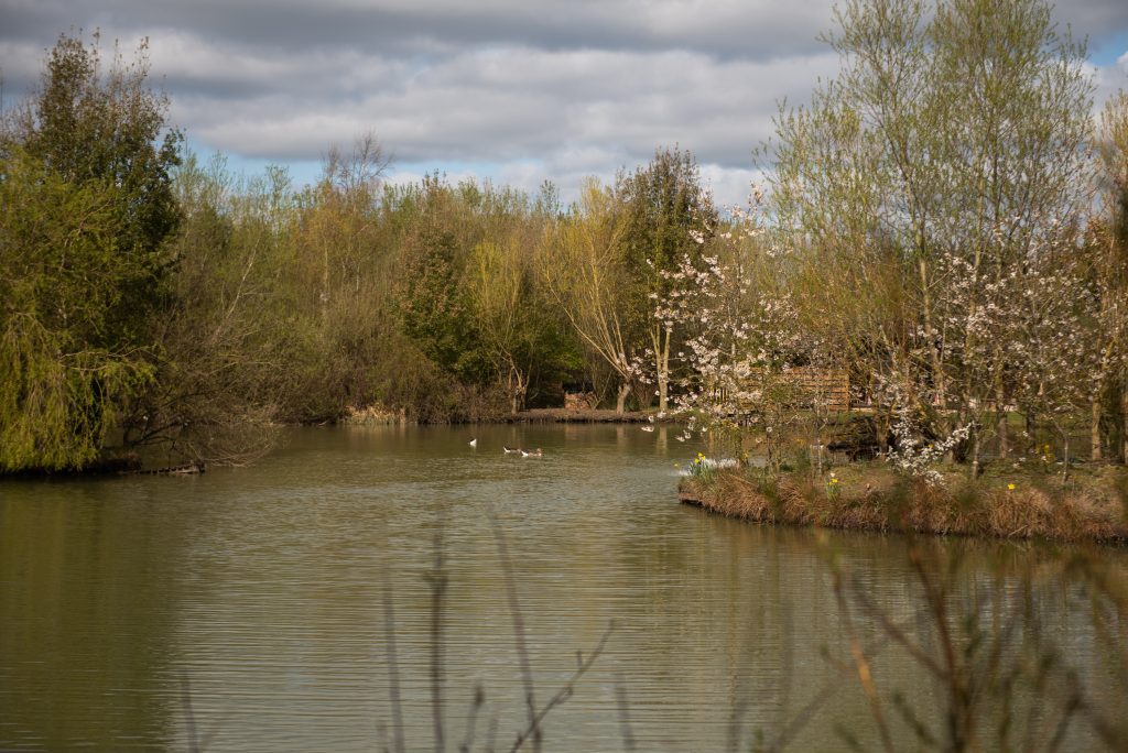 lake perfect for fishing holidays