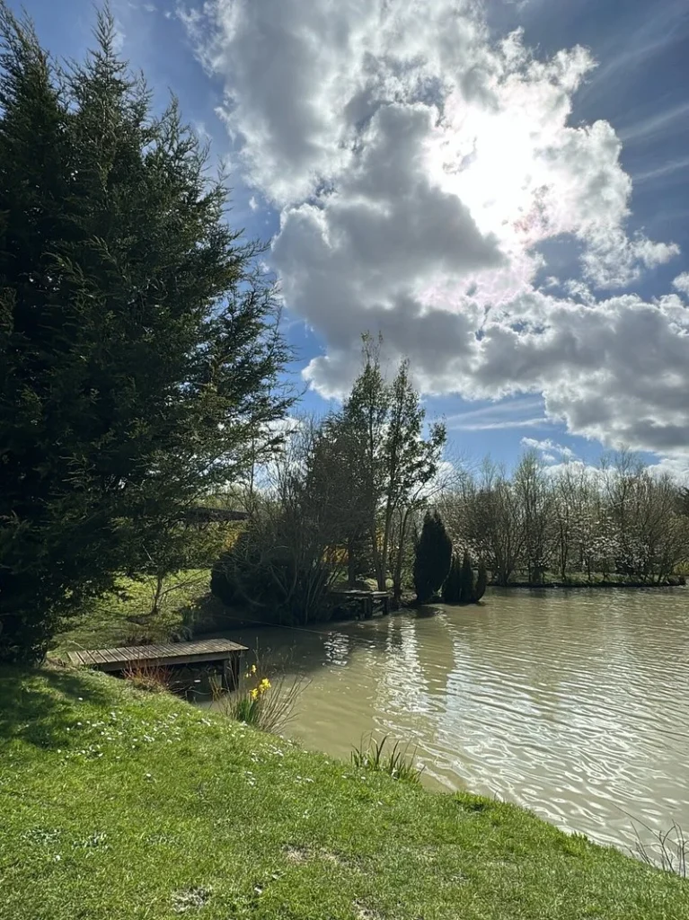 what to pack for your stay at Still Rabbit