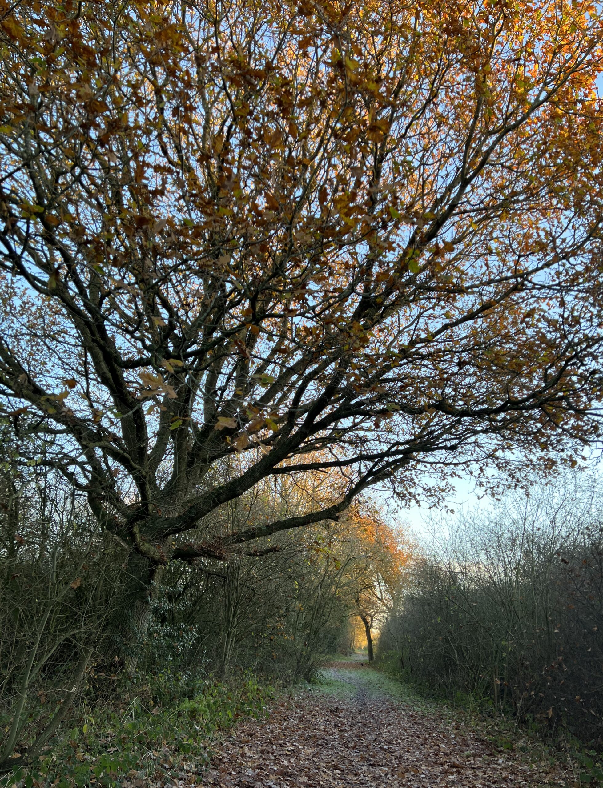 autumnal trail for UK retreats