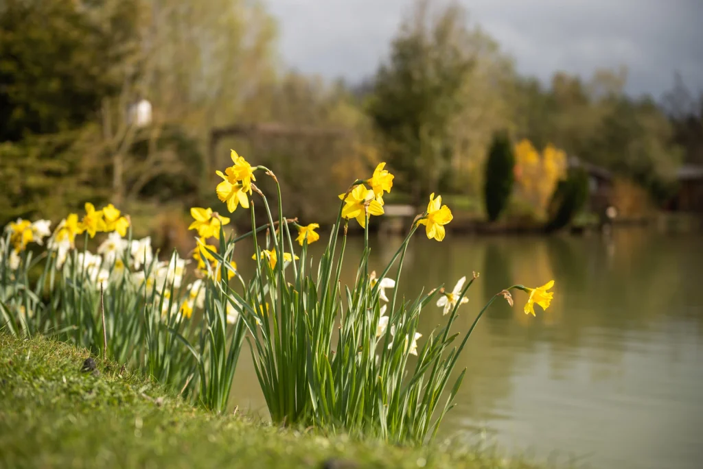 March breaks East Yorkshire